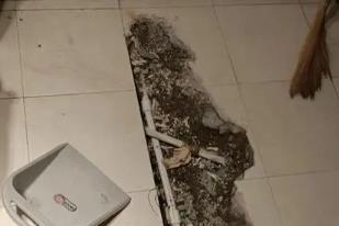 增城卫生间漏水检测电话